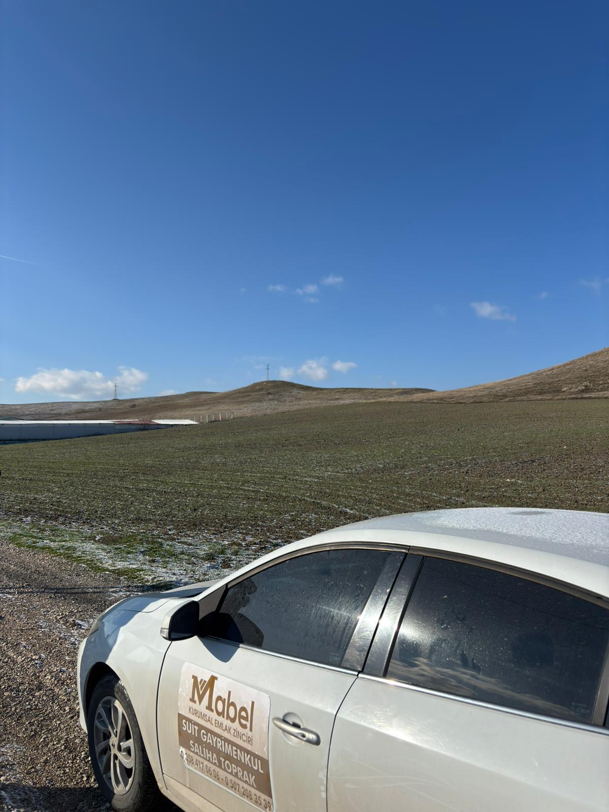 MABEL'DEN KAÇIRILMAYACAK TARLA